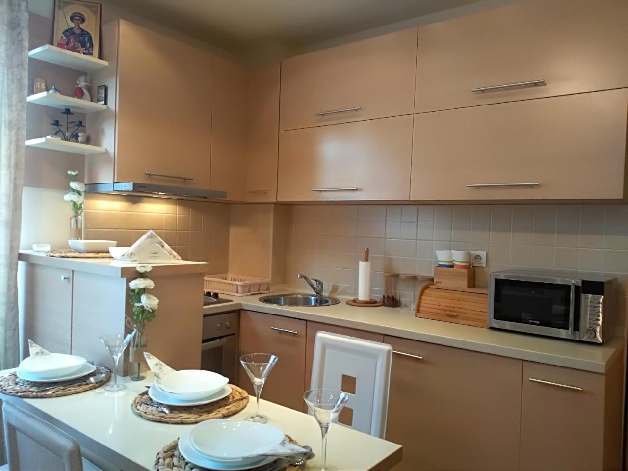 Apartman Nina Vojvode Stepe Vozdovac Voždivac Exteriér fotografie